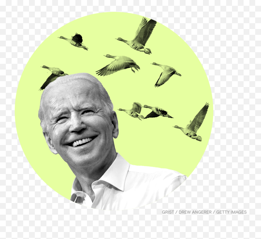 Biden Brings Back The Birds - Grist Grist Emoji,When Telling A Story, You Should Remember That Emotion Trump's Data.