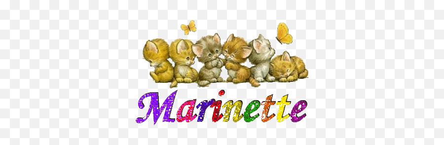 Name Graphics Marinette 489130 - Name Gif Emoji,Nom Text Emoticons