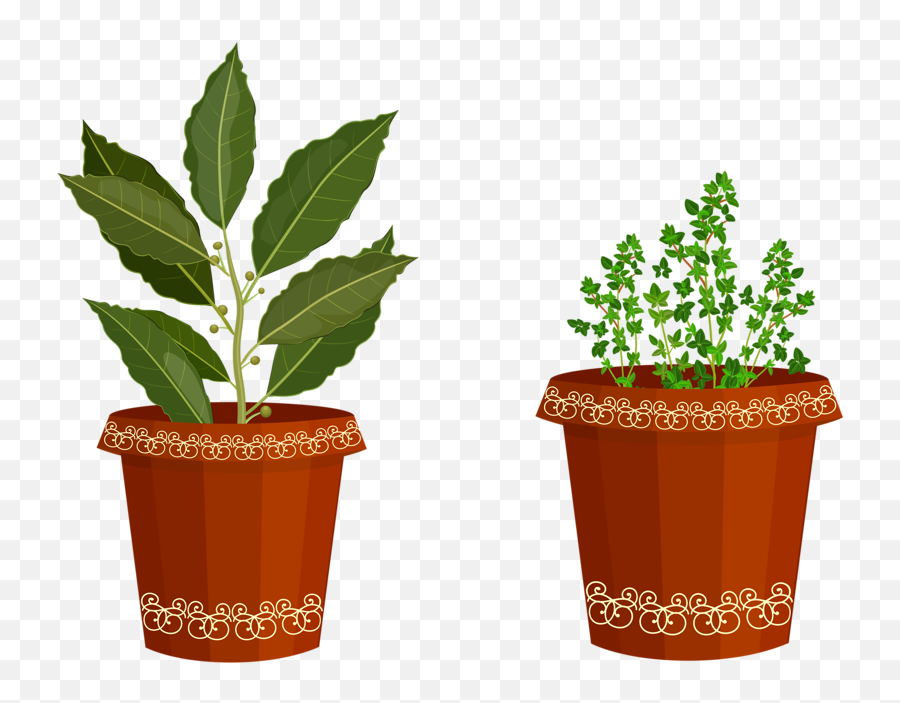 Plant Clipart Potted Plant Plant - Potted Onion Plant Clipart Emoji,Potted Plant Emoji