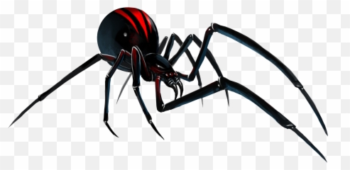 Black Widow Spider Png U0026 Free Black Widow Spiderpng - Black Widow Spider Clipart Emoji,Spider Emoji