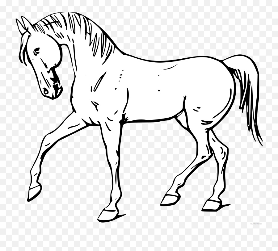 Cartoon Horse Coloring Pages Cartoon Horse 2 Printable - Horse Clipart Black And White Emoji,Cartoon Emotion Faces Printable