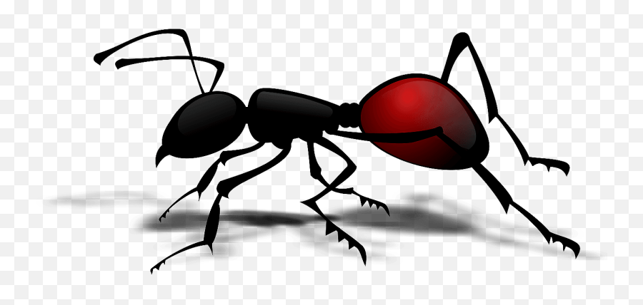 100 Free Ant U0026 Insect Vectors - Pixabay Ant Clipart Emoji,Ant Emoticon