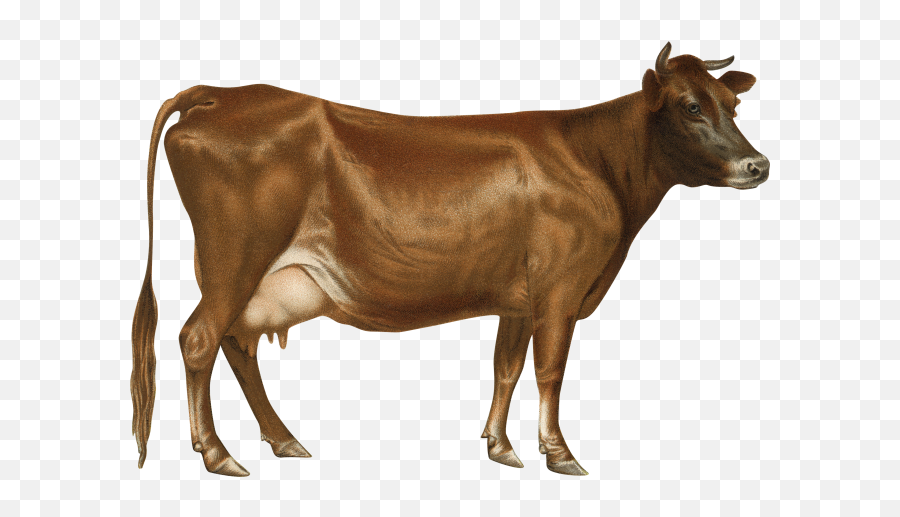 Boat Transparent Png Image User Shital1801 0 9 Score - Jersey Cow Png Emoji,Skype Cow Emoticon
