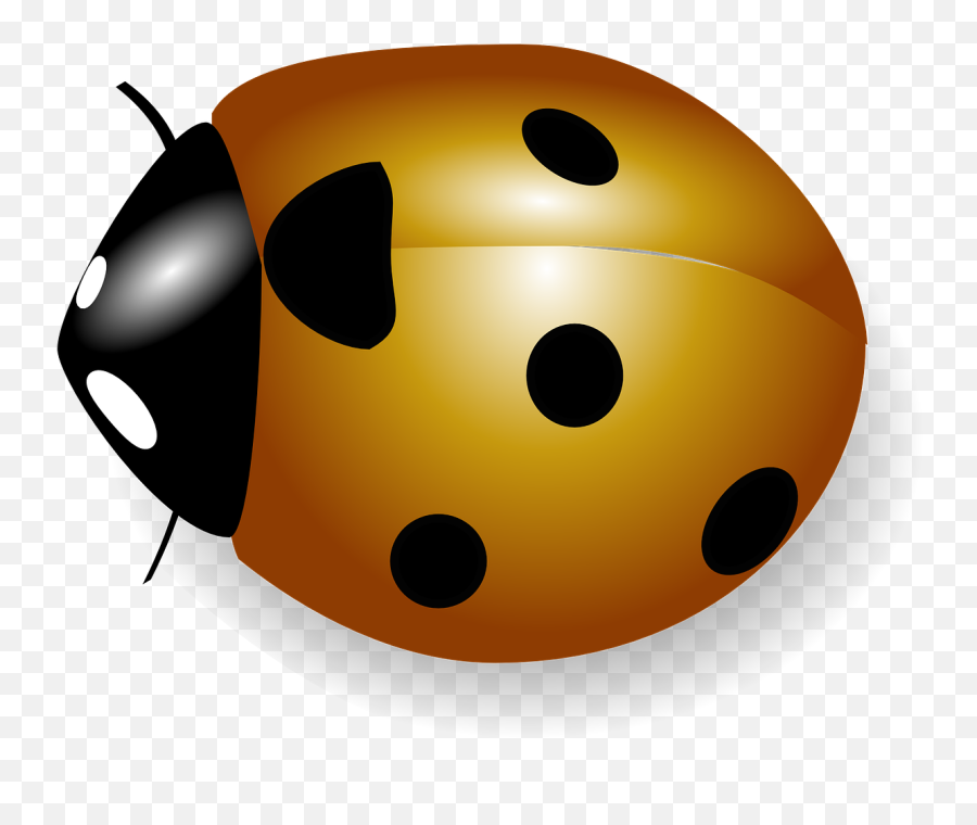 Coccinelle Clip Art At Clkercom - Vector Clip Art Online Orange Ladybird Png Emoji,Emoticon Del Miquito