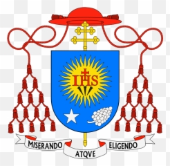 El Símbolo De La Estrella Según Su - Escudo De Cardenal Emoji,El Verdadero Significado De Los Emojis Luna Y Sol