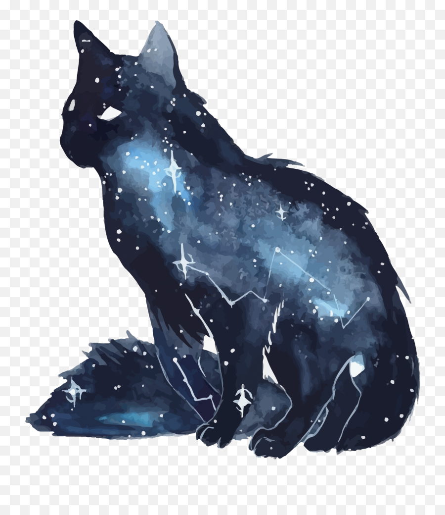 Download Vector Sky Dog Munchkin Tiger - Galaxy Cat Art Emoji,Tiger/cat Emoticon