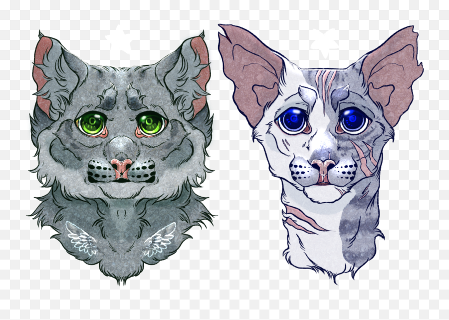 Whiskers Kitten Drawing Snout - Kitten Png Download 1280 Cat Emoji,Cat Emotions Illustration