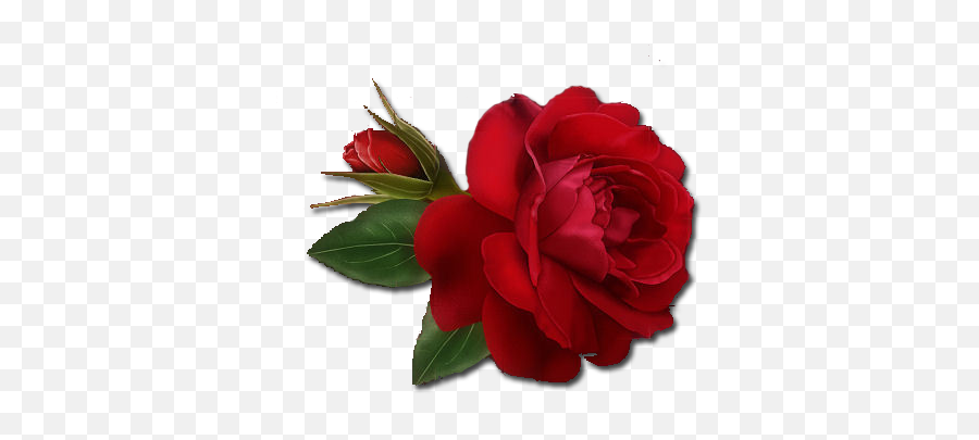 Free Single Flower Png Download Free - Red Rose Png Painting Emoji,Single Red Rose Emoticon