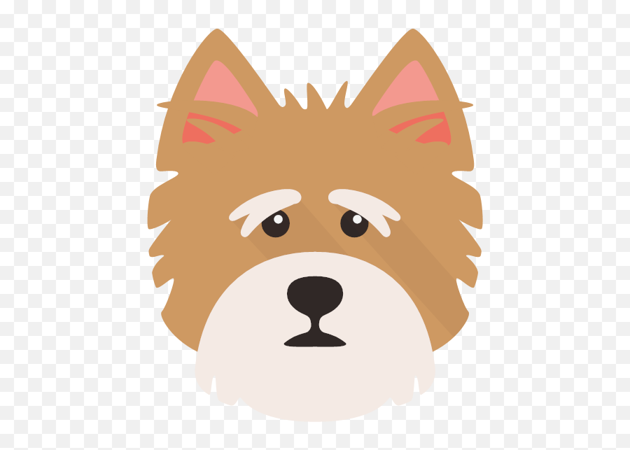 Norfolk Terrier - Norfolk Terrier Cartoon Emoji,Terrier Dog Emoji Png