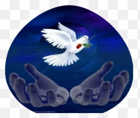 Home2 - Imagenes De Angeles Hermosos Emoji,Women Can't Overide Emotions