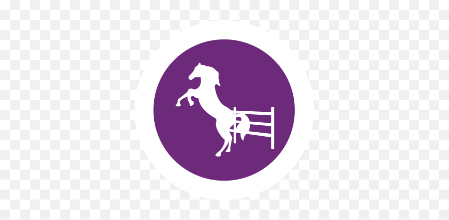 Confidence Eq To Reduce Stress In Horses - Animal Sports Emoji,Horse Nose Emotion