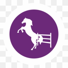 Confidence Eq To Reduce Stress In Horses - Animal Sports Emoji,Horse Nose Emotion