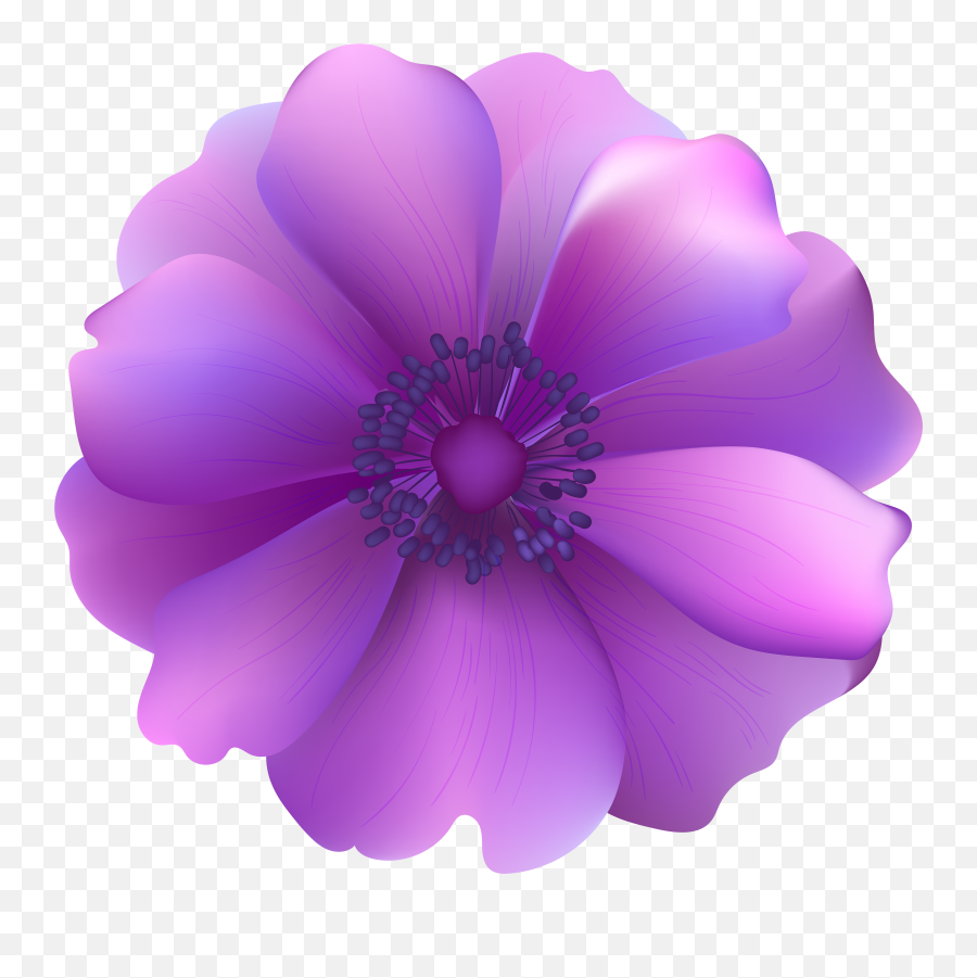 Purple Flowers Transparent U0026 Free Purple Flowers Transparent - Purple Flower Png Clipart Emoji,Violet Flower Emoji
