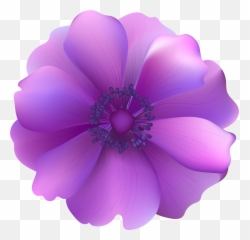 Purple Flowers Transparent U0026 Free Purple Flowers Transparent - Purple Flower Png Clipart Emoji,Violet Flower Emoji