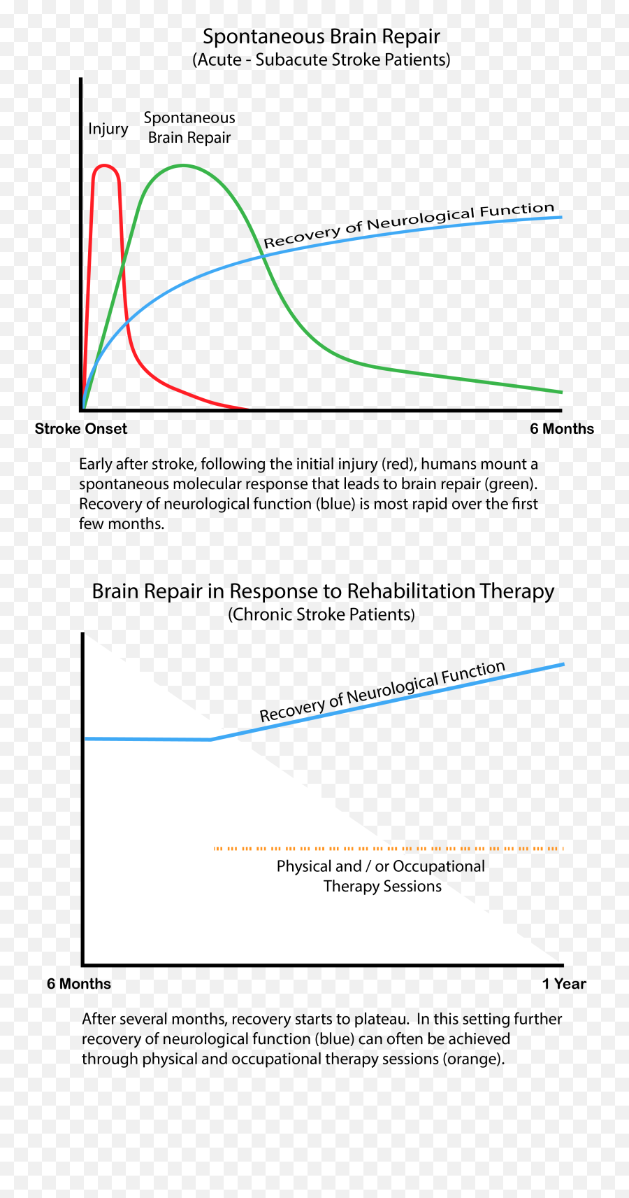 Biomarkers Of Stroke Recovery Lab Center For Brain Emoji,Where Is The Emotion Center Of The Brain