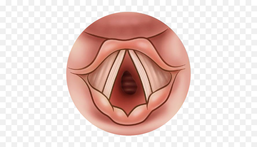 Pediatirc Tracheostomy Handbook Patient And Family Emoji,Tongue Stuck Out Emotion