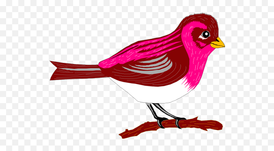 Finch Png Photos Png Svg Clip Art For Web - Download Clip Purple Bird Cartoon Transparent Background Emoji,Finch Emoji