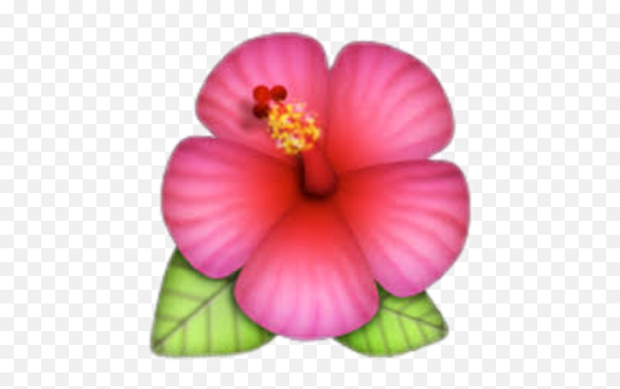 Emoji De Flor Png Transparent Images U2013 Free Png Images,Rose Emoji Ihpone