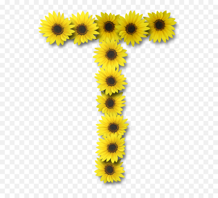 Kindergarten Clipart Sunflower Kindergarten Sunflower - Transparent Sunflower Letter W Emoji,Sunflower Emoticon