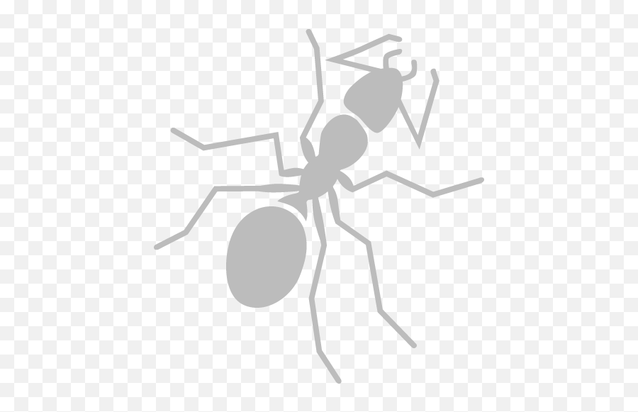 Special Pest Control Services For Apartments In Austin Tx Emoji,Fire Bee Emoji Mean