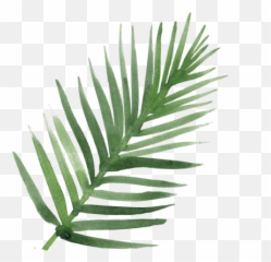 Rise Up U0026 Shine Uni - Dein Soulupdate Für Ein Erfülltes Leben Fern Emoji,Erbluhen Emotion Guide