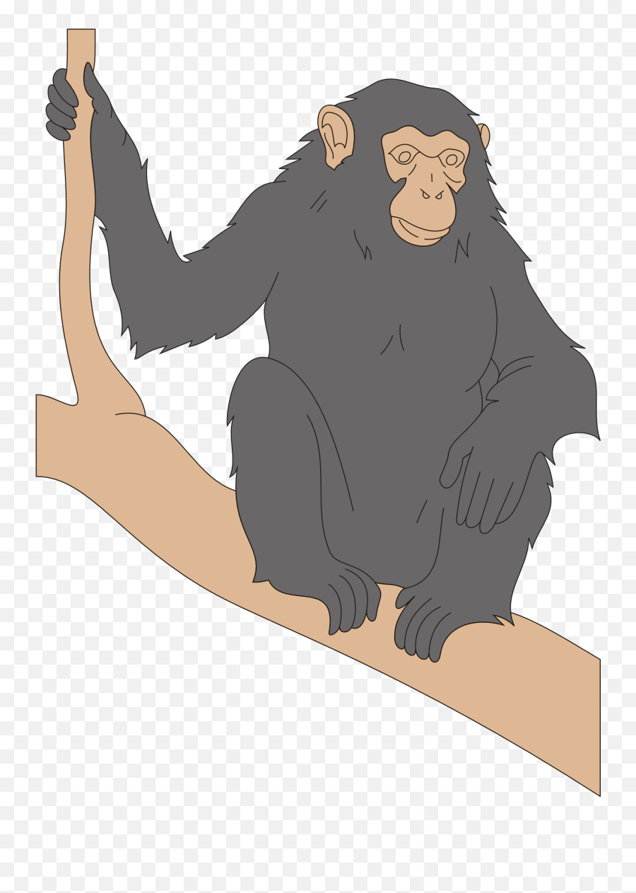 Black Chimpanzee - Chimp Black Branch Emoji,Chimp Emotions