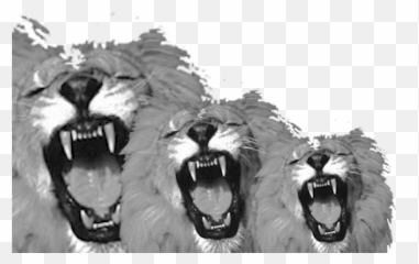 Solo Yo El Calor Me Tiene Aplaná - Lions Out The Cage Emoji,Aptonia Emotion Drink
