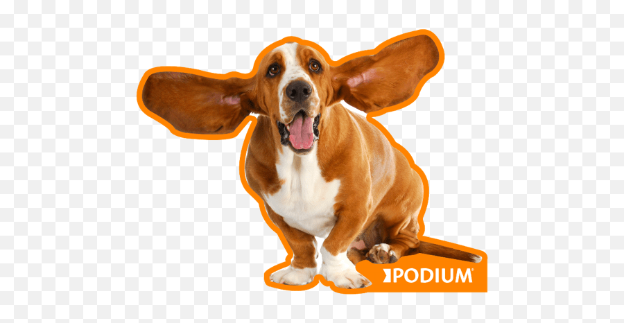 Podium Vol 1 - Basset Hound Transparent Background Emoji,Basset Hound Emoji