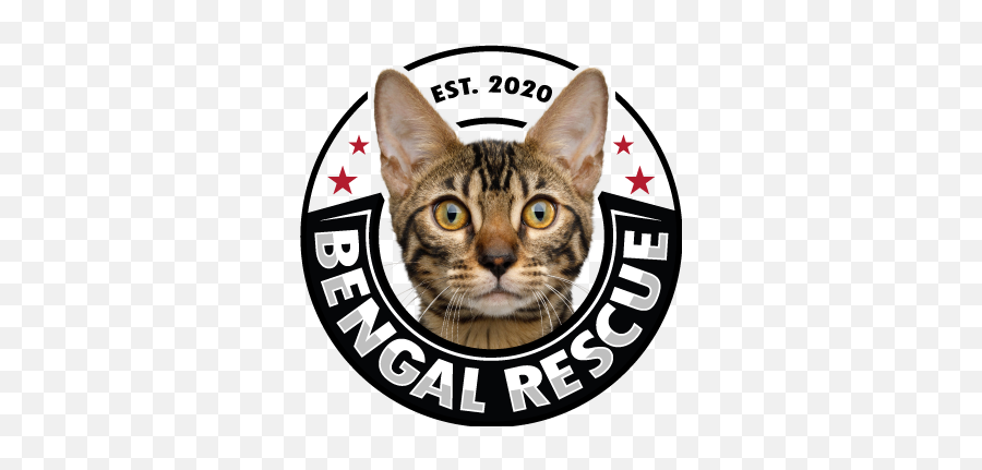 Bengal Rescue - Bengal Cat Rescue Emoji,Ech Cat Emotion