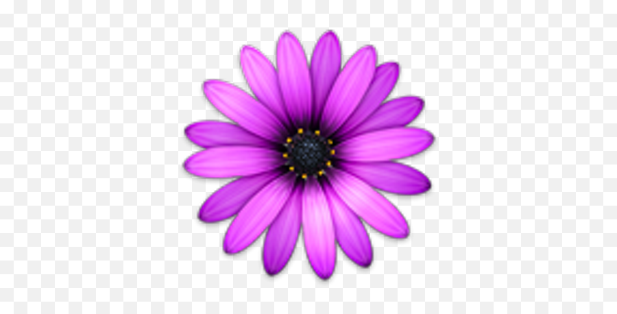 Macromates On Twitter Bobngu Textmate Supports Unicode - Transparent Background Single Flower Png Emoji,Daisy Emoji