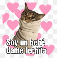 900 Funny Ideas In 2021 Funny Funny Quotes Bones Funny - Michis Con Frases Hot Emoji,Someecards Sexy Emoji