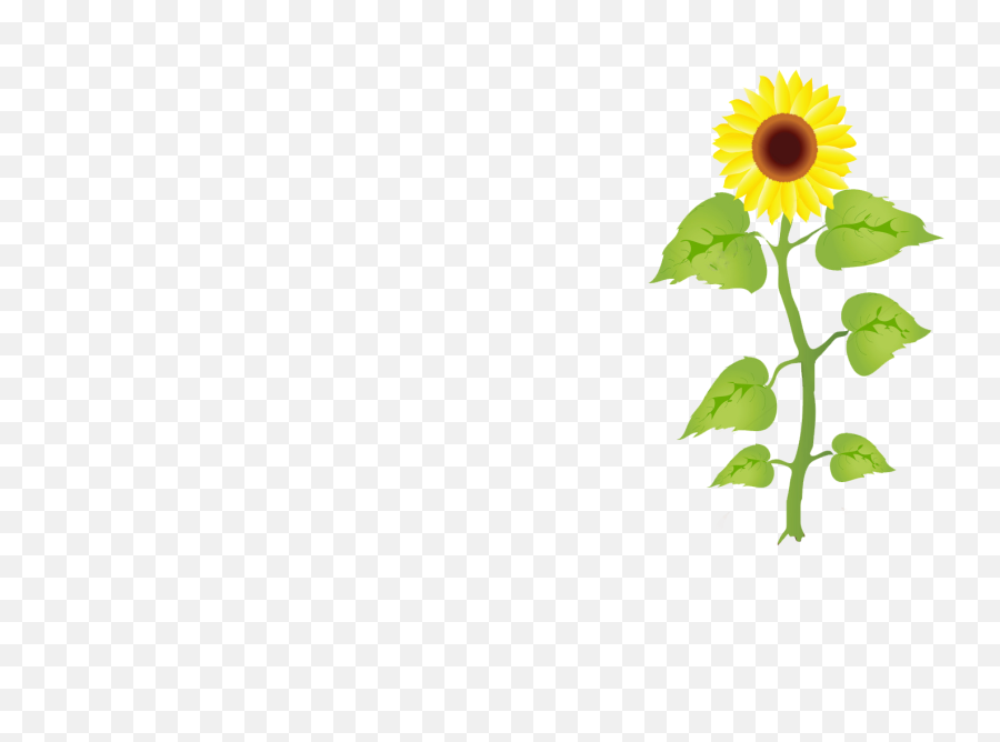 Sunflower Planter - Cartoon Sunflower Growing Gif Emoji,Sunflower Emoticon