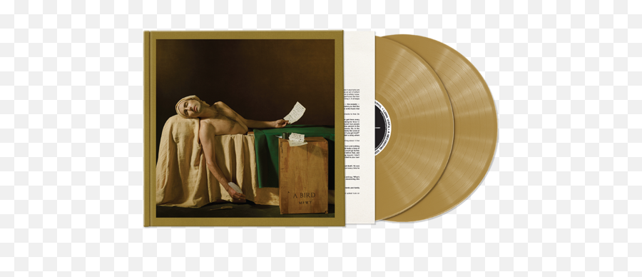 Pin - Andrew Bird My Finest Work Yet Vinyl Emoji,Emotion Album 600x600