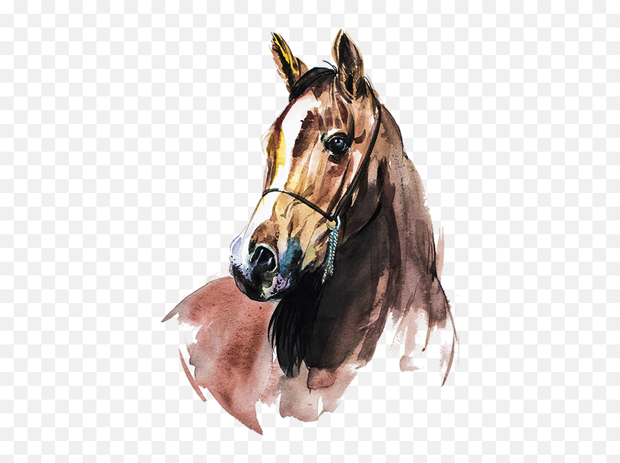 Horse Paint Ideas In Emoji,Emotions Of Art ''horses''