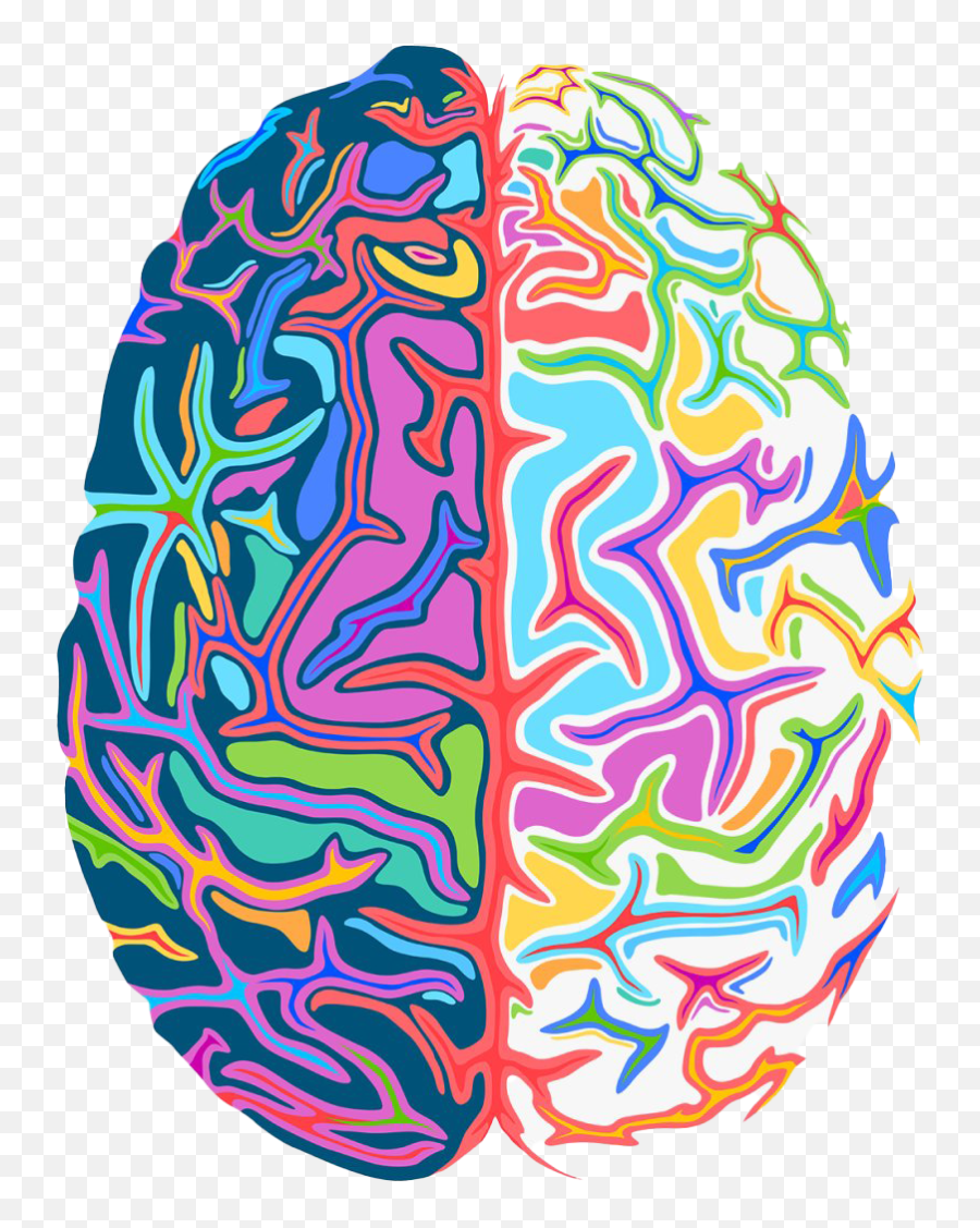 Brain Png Image - Colorful Brain Clipart Transparent Background Emoji,Big Brain Emoji