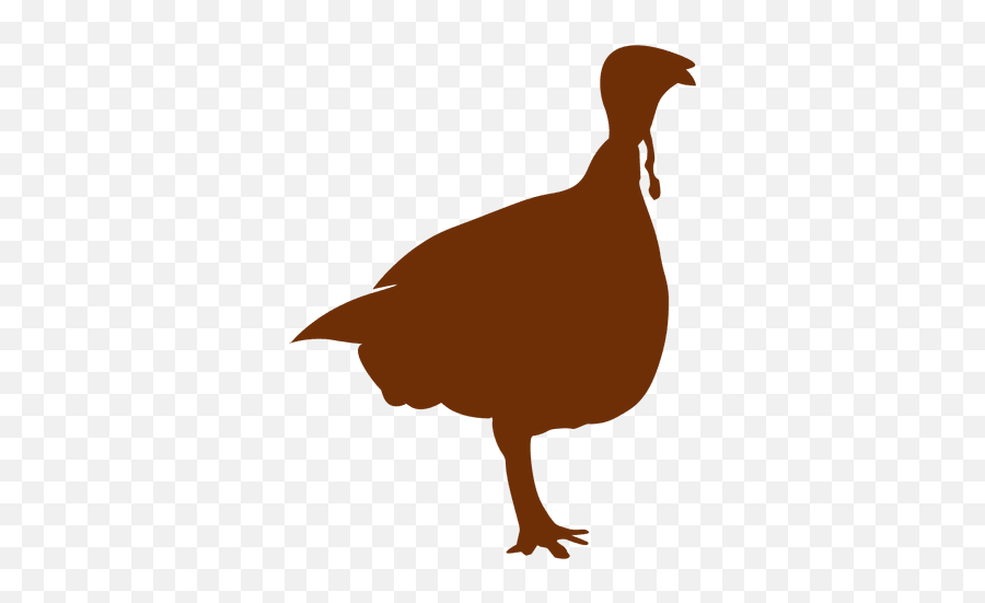 Download Vector - Turkey Silhouette Vectorpicker Pavo Silueta Png Emoji,Thanksgiving Turkey Emoji
