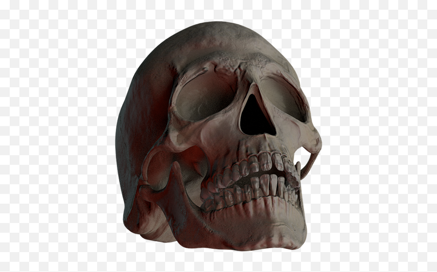 Free Photo Skull Creepy Bone Death - Skull Emoji,Skull Vs Skull And Crossbones Emojis
