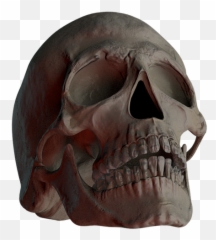 Free Photo Skull Creepy Bone Death - Skull Emoji,Skull Vs Skull And Crossbones Emojis