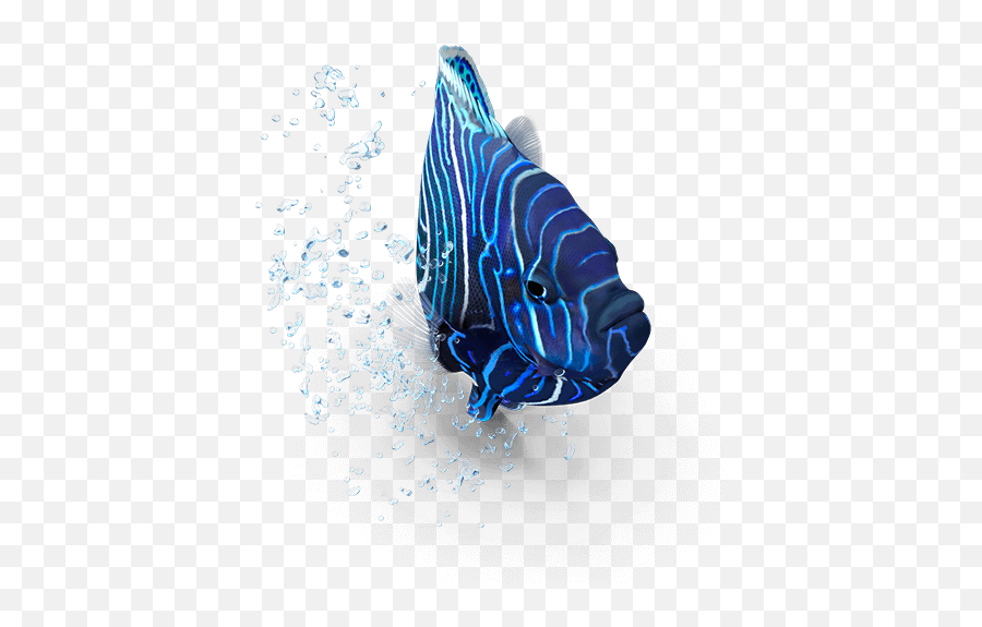 Kids Spf 50 Mineral Sunscreen Spray 5 Oz Blue Lizard Emoji,Underwater Creature That Looks Like It Has A Surprised Emoticon