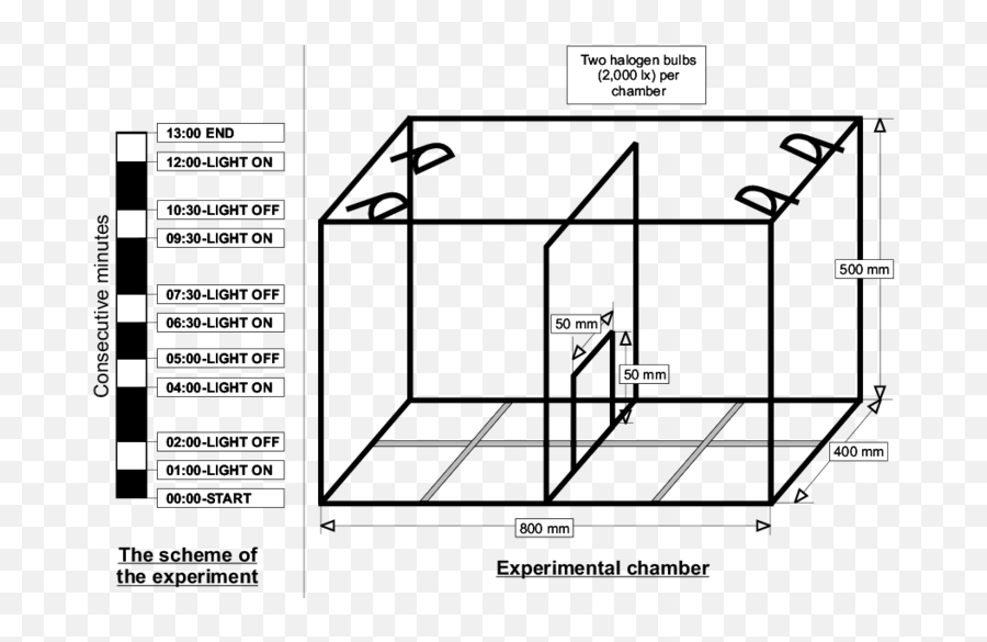 The Scheme Of The Experiment And Experimental Chamber Emoji,The Emotion Chamber