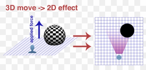 How To Move A 4d Object While Being - High Was Plant After 3 Weeks Emoji,Emoji 3d Vs 2d