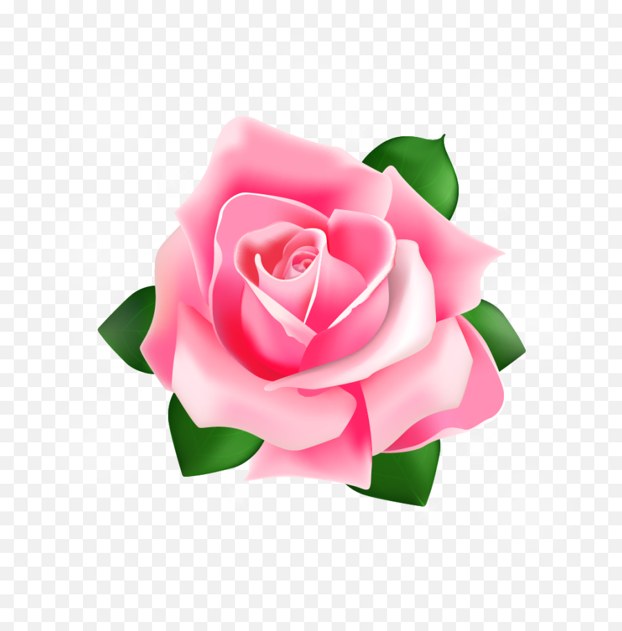 Rose Pink - Rose Vector Png Download 907881 Free Pink Rose Vector Png Emoji,Pink Rose Emoji