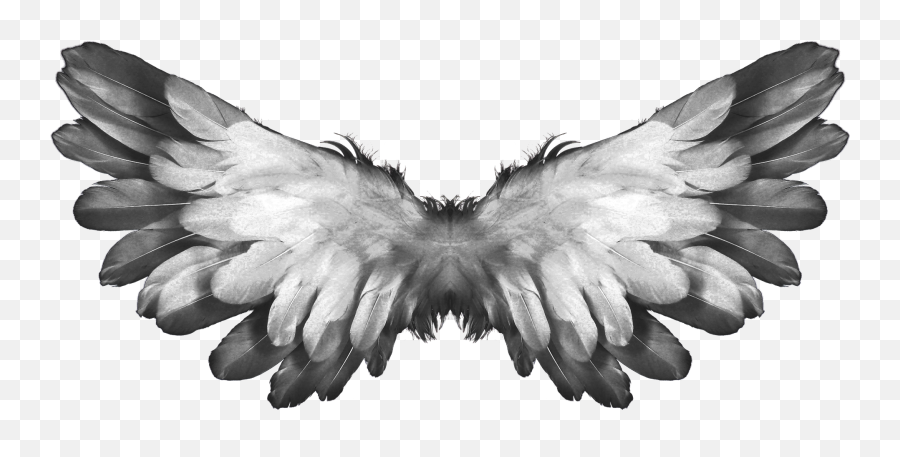 Angel Wings As Black And White - Ingeri Biblie Emoji,Emotions And Wings