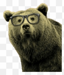 Jim Carrey Will Die Soon - Grizzly Bears With Glasses Emoji,Emoji Kiling Himself Gif