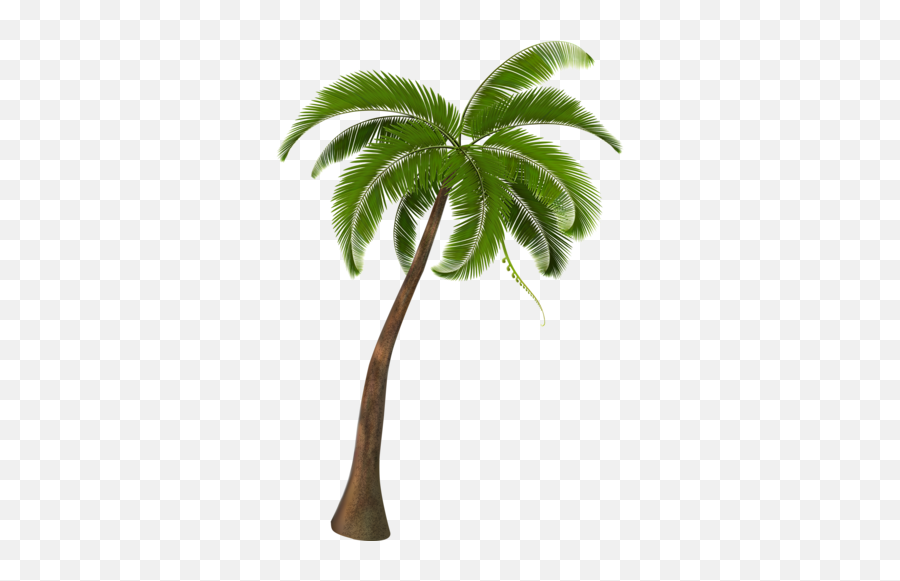 Women Beach Sun Shade Wide Hat Upf 50 - Realistic Palm Tree Vector Emoji,Palm Sunday Emoji