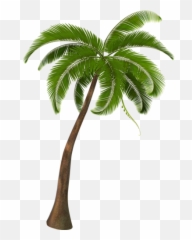 Women Beach Sun Shade Wide Hat Upf 50 - Realistic Palm Tree Vector Emoji,Palm Sunday Emoji