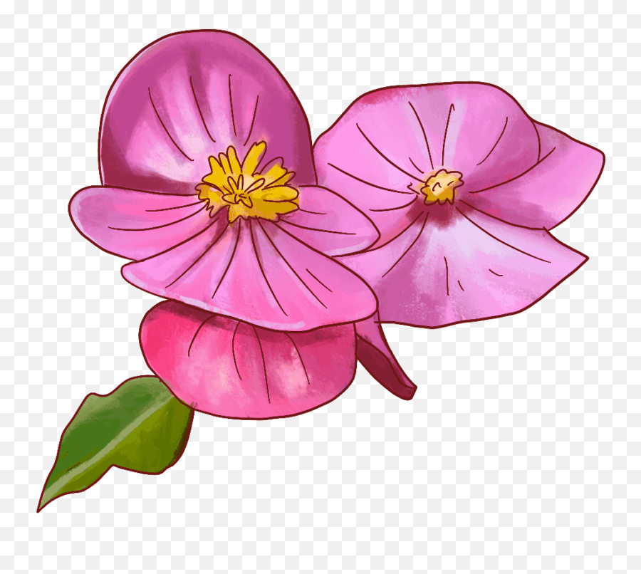 45 Types Of Pink Flowers Custom Graphics - The Home Simple Emoji,Emoji Pictures Flowers