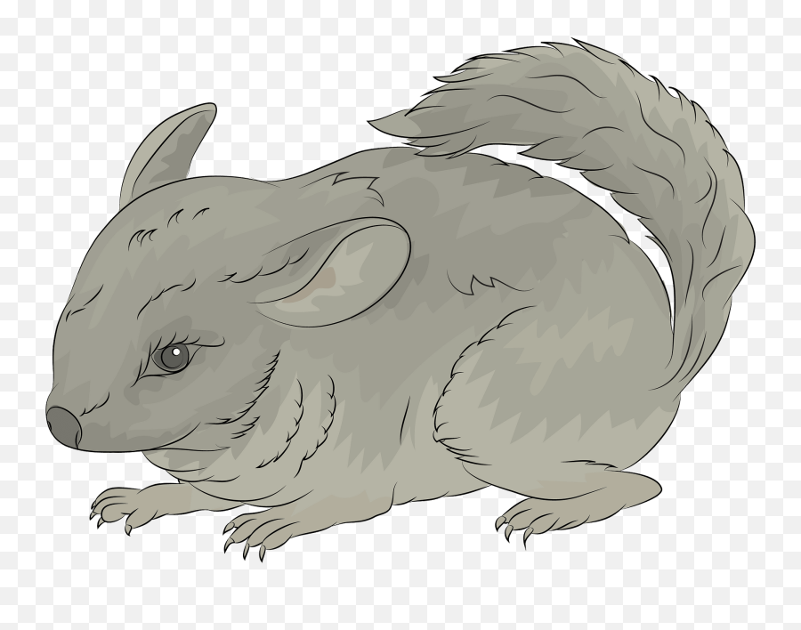 Chinchilla Clipart - Chinchilla Clipart Emoji,Chinchilla Emoji