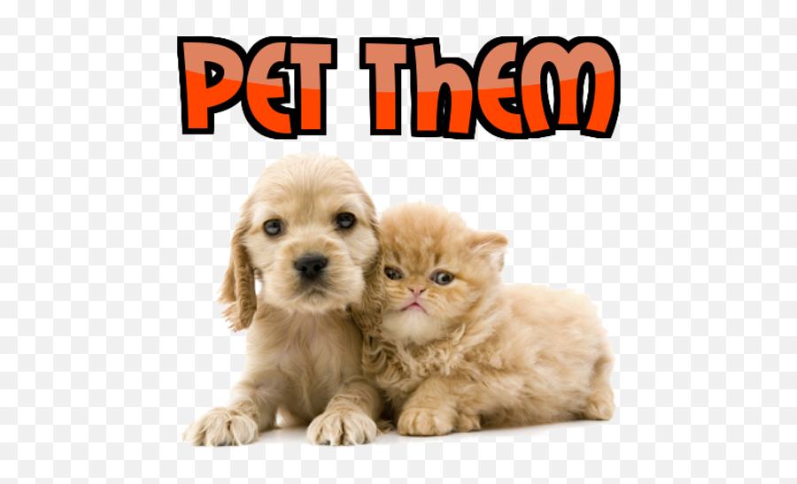 Baby Animals Edition - Love Gif Dogs And Cats Emoji,Bdo Pets Emotion