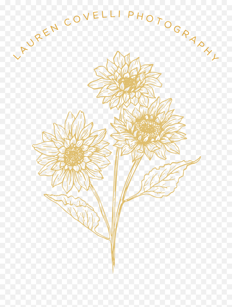 Lauren Covelli Photography - Sunflowers Emoji,Epos Emotion 3395